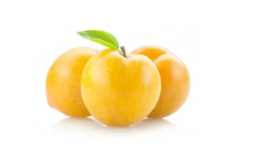 Prune Angelino galben