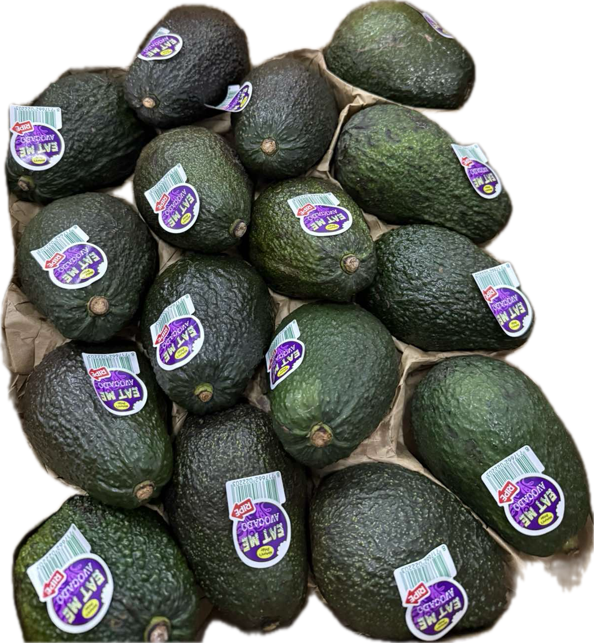 Avocado Hass