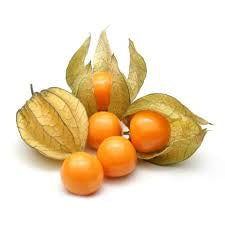 Physalis