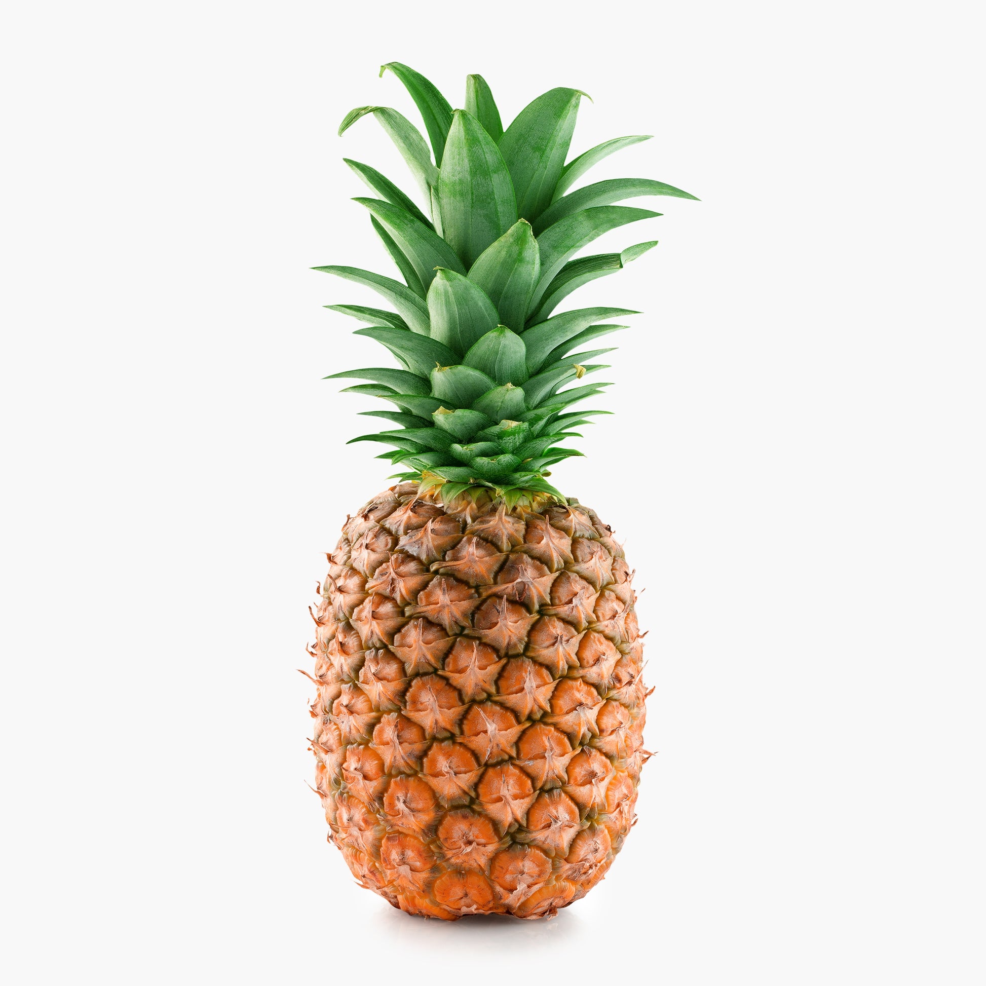 Ananas