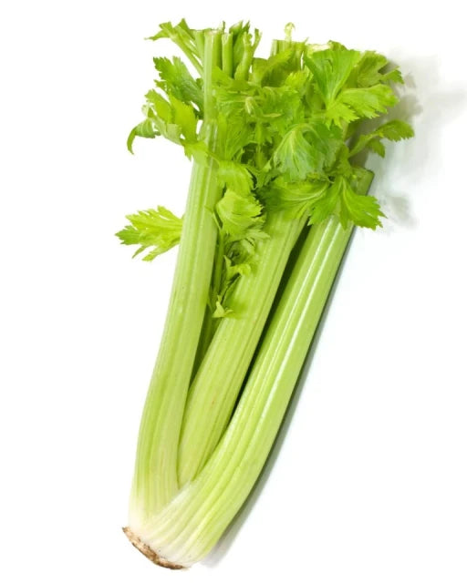 Apio (tulpina de țelină)