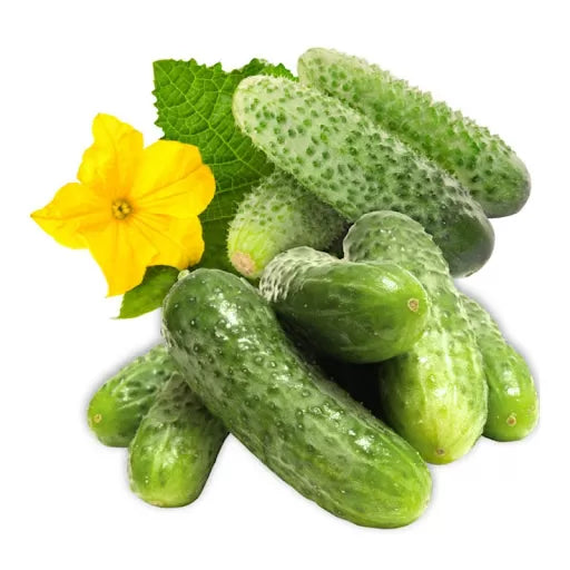 Castraveti Rodnicioc