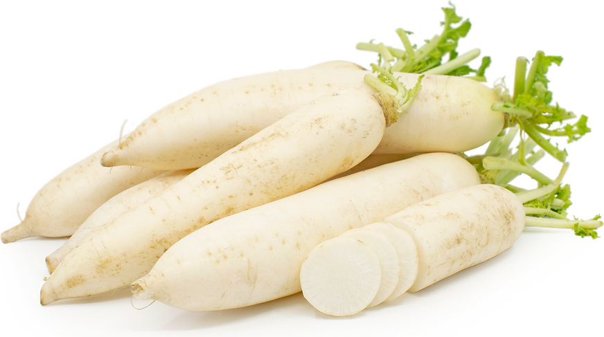 Ridiche Daikon