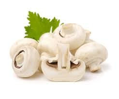 Ciuperci(champignion)