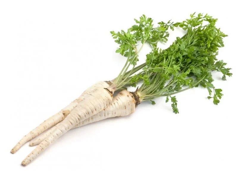 Rădăcină de pătrunjel