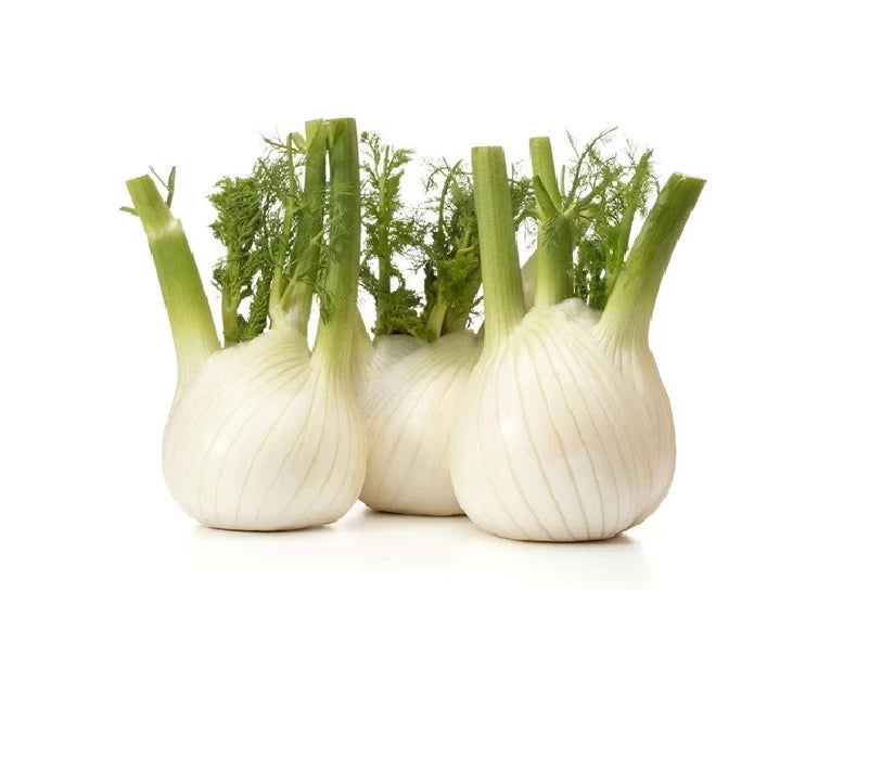 Ceapă fenhel