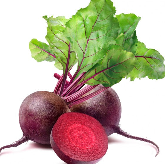 Sfeclă roșie